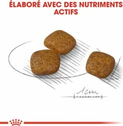 Royal Canin Mini Urinary Care Mini -winkel voor hondenvoer lm 435ddb30680a691d157187ee1cf9e896d031639401482