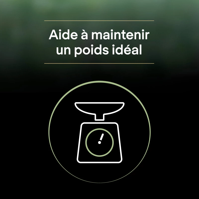 PRO PLAN Liveclear Sterilised Adult 1+, Met Kalkoen 7 PRO PLAN Liveclear Sterilised Adult 1+, Met Kalkoen - Afbeelding 5