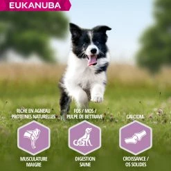 Eukanuba Puppy Small & Medium Breed Lamb & Rice -winkel voor hondenvoer lm 45742998cf32d552343bc8e460416382dca1608300076