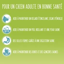 FRISKIES Dog Vitafit Light, Met Kip -winkel voor hondenvoer lm 467ab817c9349cf9c4f6877e1894a1faa001666343654