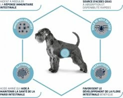 Advance Veterinary Diets Gastroenteric -winkel voor hondenvoer lm 46d9d4f495e875a2e075a1a4a6e1b9770f1568988817