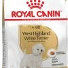 Royal Canin Breed West Highland White Terrier Adult -winkel voor hondenvoer lm 472ef575e8837d065a1683c022d2077d3421574867615