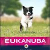 Eukanuba Puppy Small & Medium Breed Lamb & Rice 2 Eukanuba Puppy Small & Medium Breed Lamb & Rice -winkel voor hondenvoer lm 4732050e03ca119580f74cca14cc6e974621608299968