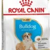 Royal Canin Puppy Bulldog -winkel voor hondenvoer lm 496b534ba68236ba543ae44b22bd110a1d61575450597