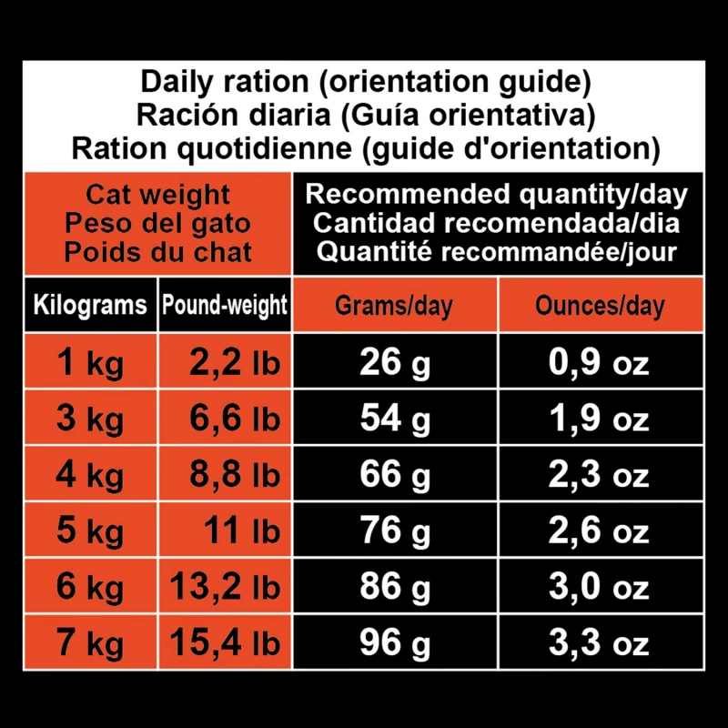 ARQUIVET Cat Adult - Met Kalkoen 4 ARQUIVET Cat Adult - Met Kalkoen - Afbeelding 2