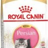 Royal Canin Breed Persian Kitten 2 Royal Canin Breed Persian Kitten -winkel voor hondenvoer lm 50c0c7c76d30bd3dcaefc96f40275bdc0a1574935024