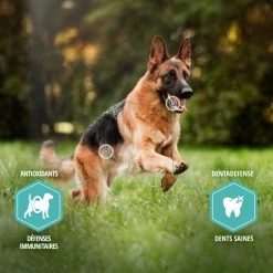 Eukanuba Daily Care Sensitive Digestion -winkel voor hondenvoer lm 50c0c7c76d30bd3dcaefc96f40275bdc0a1641824367