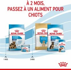 Royal Canin Maxi Starter Mother & Babydog -winkel voor hondenvoer lm 50c0c7c76d30bd3dcaefc96f40275bdc0a1654685062