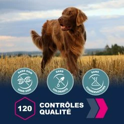 Eukanuba Active Adult Large Breed 11 Eukanuba Active Adult Large Breed -winkel voor hondenvoer lm 510087408522c31eeb1f982bc0eaf81d35f1641822347