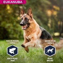 Eukanuba Breed Specific Duitse Herder -winkel voor hondenvoer lm 520cf67355a3333e6e143439161adc2d82e1641826705