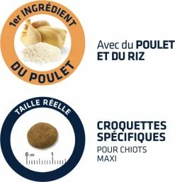 AFFINITY ADVANCE PUPPY MAXI Baby Protect, Met Kip -winkel voor hondenvoer lm 52685422afb467e9456013a2a51d4dff7021568989499