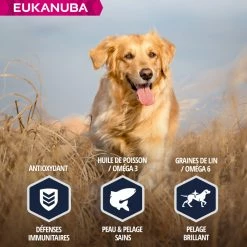 Eukanuba Breed Specific Golden Retriever 11 Eukanuba Breed Specific Golden Retriever -winkel voor hondenvoer lm 53665658fde58ab3c2b6e5132a39fae7cb91641827355