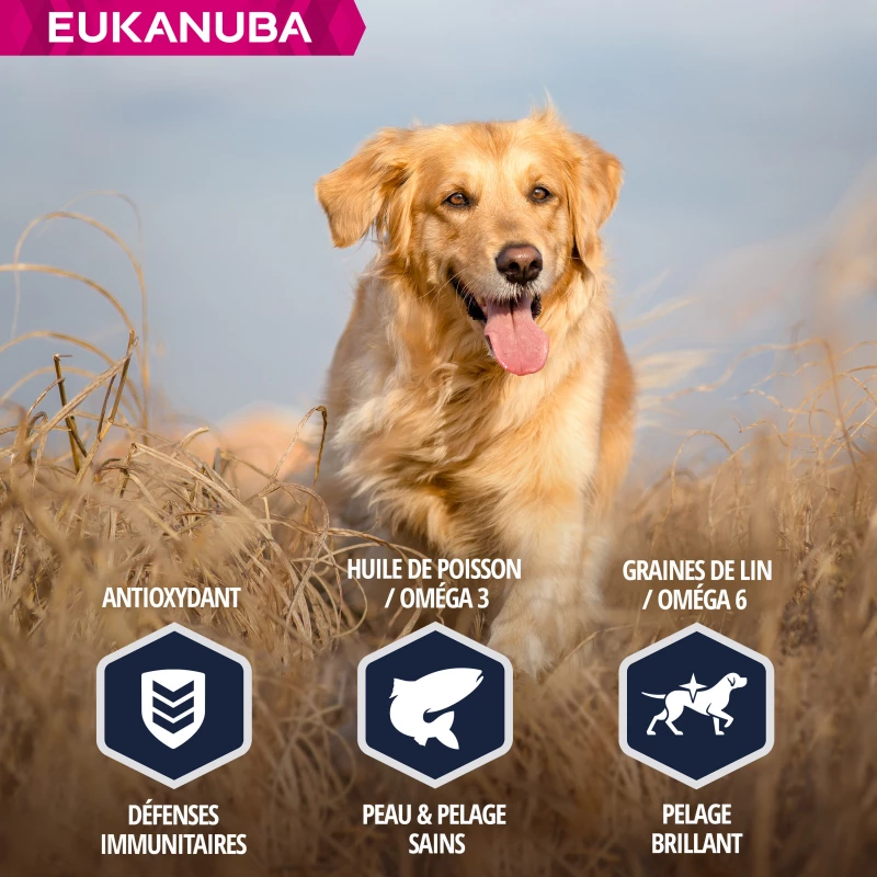 Eukanuba Breed Specific Golden Retriever 7 Eukanuba Breed Specific Golden Retriever - Afbeelding 5