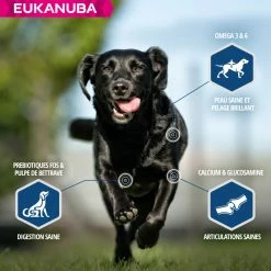 Eukanuba Daily Care -winkel voor hondenvoer lm 5375ea1649a31336092c05438df996a3e591641823782