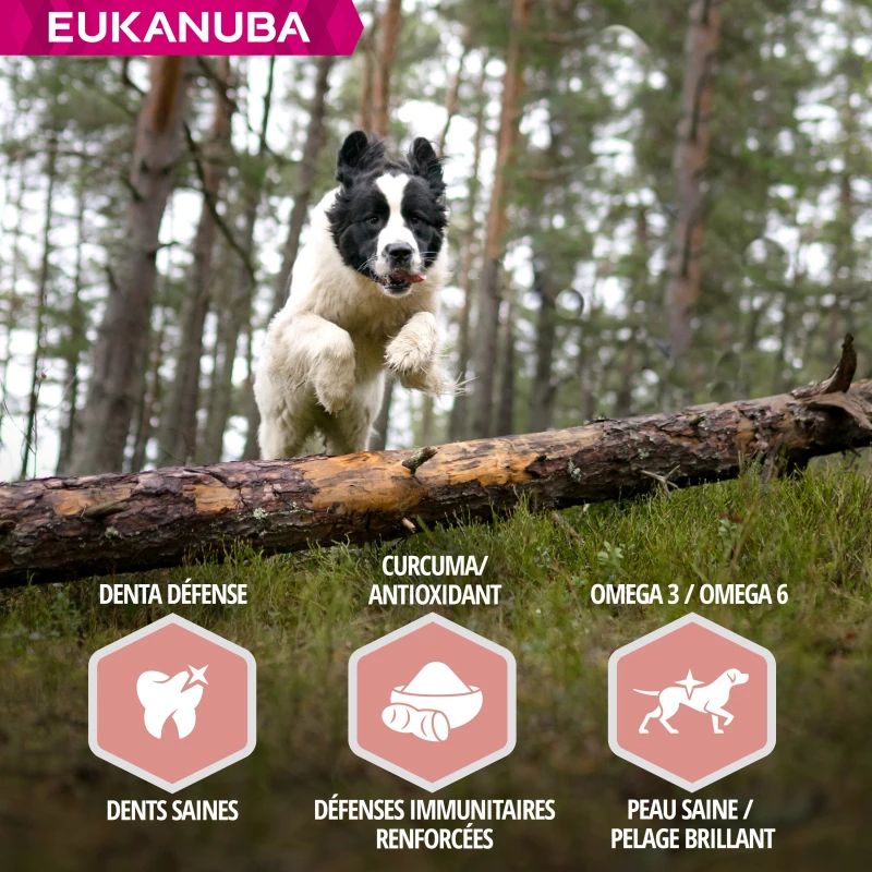 Eukanuba Mature & Senior All Breeds 7 Eukanuba Mature & Senior All Breeds - Afbeelding 5