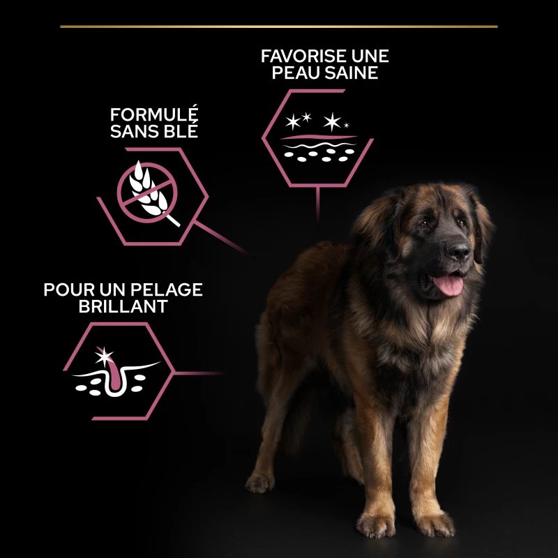 PRO PLAN Large Robust Adult Sensitive Skin - Met Zalm 9 PRO PLAN Large Robust Adult Sensitive Skin - Met Zalm - Afbeelding 7