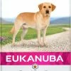 Eukanuba Breed Specific Labrador Retriever -winkel voor hondenvoer lm 54497e8527feaf77a97fc38f342161415151641825784