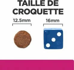 Hill's PRESCRIPTION DIET Gastrointestinal Biome -winkel voor hondenvoer lm 553f387624df552cea2f369918c5e1e12bc1645801430