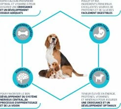 Affinity Advance Advance Mother Et Initial Puppy -winkel voor hondenvoer lm 5576e2713a6efee97bacb63e52c54f0ada01568989597