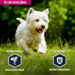 Eukanuba Breed Specific West Highland White Terrier -winkel voor hondenvoer lm 56158ae749f25eded36f486bc85feb3f0ab1641826074