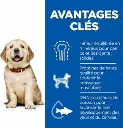 HILL'S Science Plan Canine Puppy Large Breed -winkel voor hondenvoer lm 585a9a1d5317a33ae8cef33961c34144f841643272477