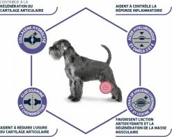 Advance Veterinary Diets Articular Care Senior, +7 Jaar -winkel voor hondenvoer lm 59093f65e080a295f8076b1c5722a46aa21568988942
