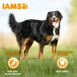 Iams Vitality Dog Senior, Met Kip -winkel voor hondenvoer lm 613f29c21d4897f78948b91f03172341b7b1604659974