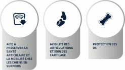 Advance Veterinary Diets Articular Care Reduced Calorie -winkel voor hondenvoer lm 61679091c5a880faf6fb5e6087eb1b2dc1568988413