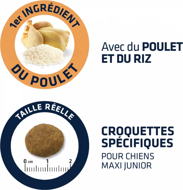 Affinity Advance Advance Maxi Junior - Met Kip 6 Affinity Advance Advance Maxi Junior - Met Kip - Afbeelding 4