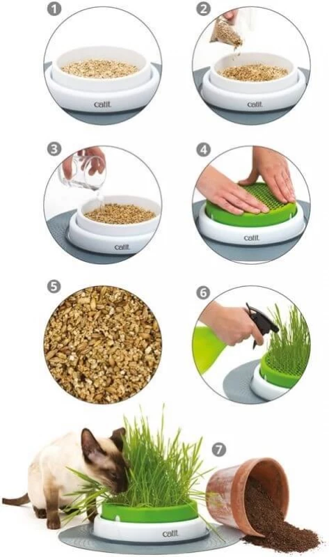 Cat-it Grass Planter Cat It Senses 2.0 6 Cat-it Grass Planter Cat It Senses 2.0 - Afbeelding 4