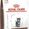 Royal Canin Gastro-intestinal Kitten -winkel voor hondenvoer lm 62448ab2f9b45957ab574cf005eb8a767601592830319