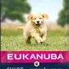 Eukanuba Puppy Lam & Rijst 2 Eukanuba Puppy Lam & Rijst -winkel voor hondenvoer lm 6439b698eb3105bd82528f23d0c92dedfc01604655484