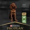 PRO PLAN Large Athletic Puppy Sensitive Digestion 2 PRO PLAN Large Athletic Puppy Sensitive Digestion -winkel voor hondenvoer lm 6439b698eb3105bd82528f23d0c92dedfc01671095746