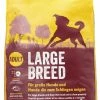 JOSERA Large Breed - Met Zalm 1 JOSERA Large Breed - Met Zalm -winkel voor hondenvoer lm 65230ef30b64204a3088a26bc2e6ecf76021536137122