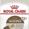 Royal Canin Senior Ageing 12+ -winkel voor hondenvoer lm 65230ef30b64204a3088a26bc2e6ecf76021581347126