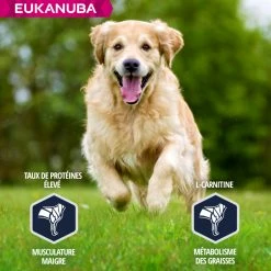 Eukanuba Breed Specific Golden Retriever 9 Eukanuba Breed Specific Golden Retriever -winkel voor hondenvoer lm 663295c76acbf4caaed33c36b1b5fc2cb11641827278