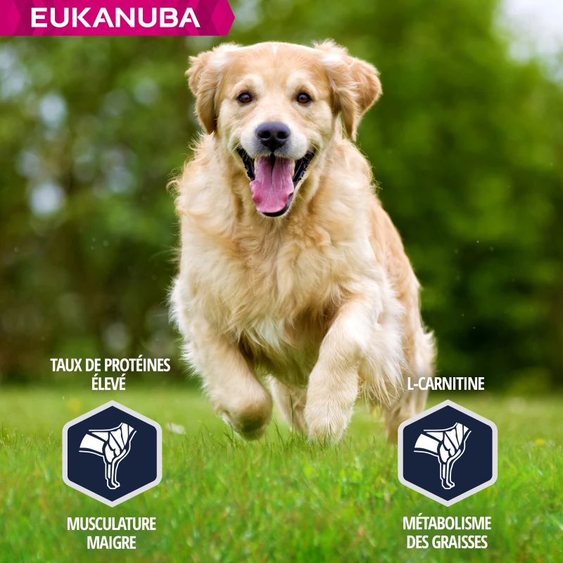 Eukanuba Breed Specific Golden Retriever 5 Eukanuba Breed Specific Golden Retriever - Afbeelding 3