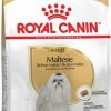 Royal Canin Breed Maltezer Adult -winkel voor hondenvoer lm 6789fe8593a8a330607d76796b35c64c6001581342773