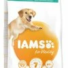 Iams For Vitality 1 Iams For Vitality -winkel voor hondenvoer lm 680fccb3cdc9acc14a6e70a12f74560c0261604656982