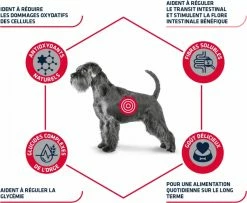 Advance Veterinary Diets Diabetes Colitis -winkel voor hondenvoer lm 6811595af6435015c77a7149e92a551338e1568990256