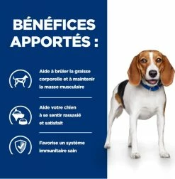 HILL'S Prescription Diet R/D Weight Reduction -winkel voor hondenvoer lm 6877f5d04d189dfb634e6a85bb9d9adf21e1646667449