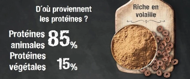 Leonardo Adult Complete 32/16 Met Gevogelte Voor Niet-actieve, Volwassen Katten 7 Leonardo Adult Complete 32/16 Met Gevogelte Voor Niet-actieve, Volwassen Katten - Afbeelding 5