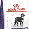 Royal Canin Veterinary Diet Royal Canin Veterinary DOG Neutered Adult Large -winkel voor hondenvoer lm 6945487315b1286f907165907aa8fc966191669805241