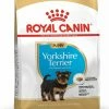 Royal Canin Breed Yorkshire Terrier Puppy 2 Royal Canin Breed Yorkshire Terrier Puppy -winkel voor hondenvoer lm 6960cb929eae7a499e50248a3a78f7acfc71581412089