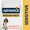 Affinity Advance Advance Sensitive Medium Maxi, Met Zalm -winkel voor hondenvoer lm 708ae0eb3eed39d2bcef4622b2499a05fe61579681200