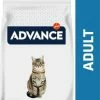 Affinity Advance Advance Adult Kip & Rijst -winkel voor hondenvoer lm 7091ecfb463472ec9115b10c292ef8bc9861570714660