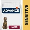 Affinity Advance Advance Sensitive Lamb And Rice 2 Affinity Advance Advance Sensitive Lamb And Rice -winkel voor hondenvoer lm 71219bc916108fc6938f52cb96f7e0879411579682179