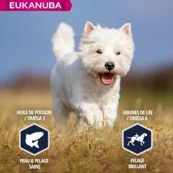 Eukanuba Breed Specific West Highland White Terrier -winkel voor hondenvoer lm 7158df707a948fac1b4a0f97aa554886ec81641826154