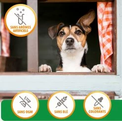Iams Vitality Dog Small & Medium -winkel voor hondenvoer lm 71e2c420d928d4bf8ce0ff2ec19b3715141604659726