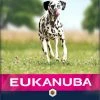 Eukanuba Adult Sensitive Adult, Zalm En Gerst -winkel voor hondenvoer lm 722c8ed21db4f678f3b13b9d5ee164890881604654501